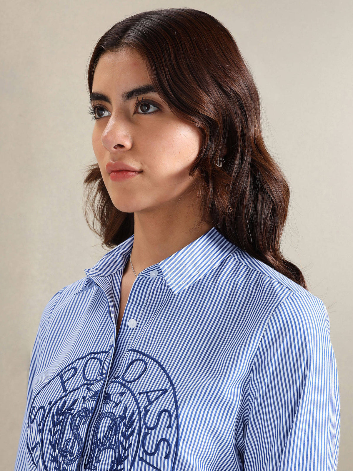 Vertical Stripe Embroidered Shirt Blue | S67 - view 7
