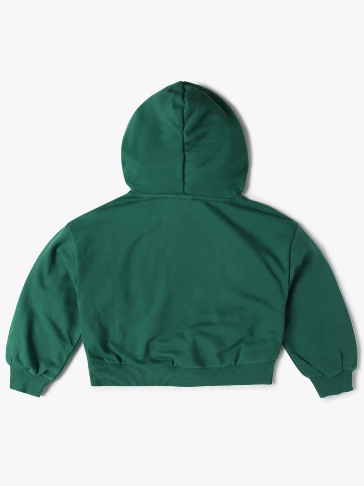 Green Solid Relaxed Fit Hoodie | HD56 - view 2