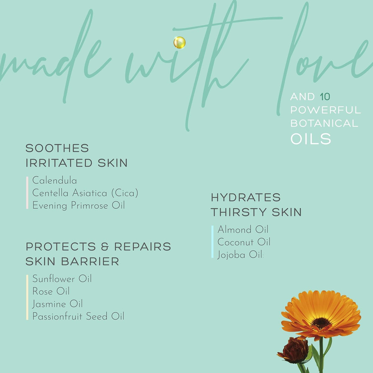 Belly Treatment Elixir - Body Oil For Stretch Marks; Fragrance Free, Pregnancy Safe | B20 - view 5