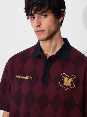 Buy Jacquard Polo: Harry Potter Hogwarts Oversized Polos Online. P09