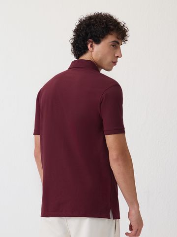 Buy Pique Polo: Sangria Mens Polo Online P09