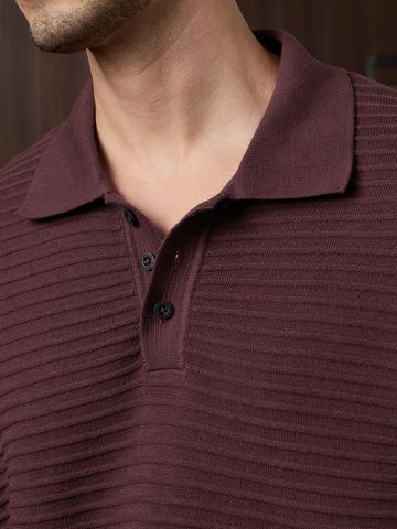 Buy Classic Polo: Ruby Wine Men Polo Online P09