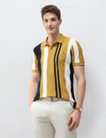 Vertical Striped Slim Fit Polo Shirt USP0