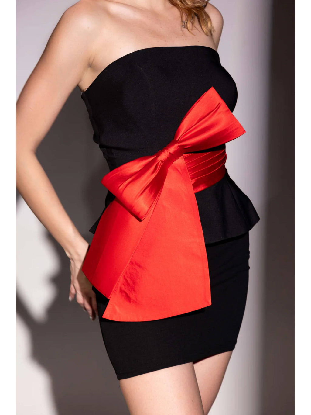 Large Bow Fitted Tube Parisa Top | TT90 - view 2
