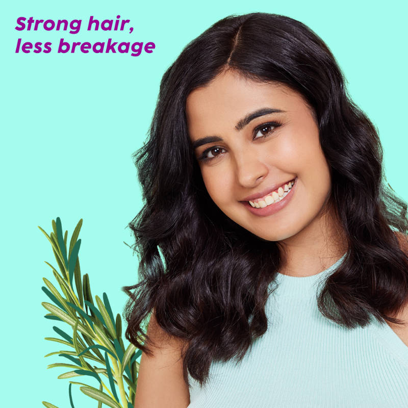 Rosemary Anti Hairfall Kit - Hair Oil, Shampoo, Conditioner & Serum | PL1 - view 9