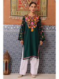 Women Red Embroidered Straight Kurta | FY93 - view 22