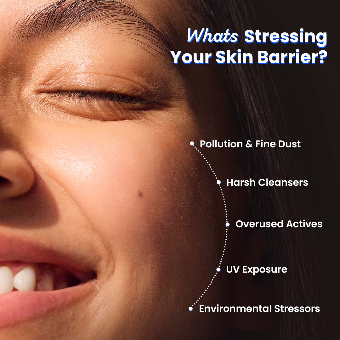 Barrier Repair Moisturizer (Hyaluronic + Ceramides)