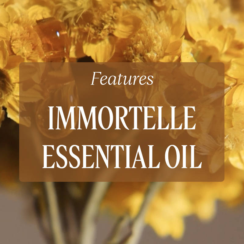 Immortelle Reset Serum Refill | Z8 - view 2