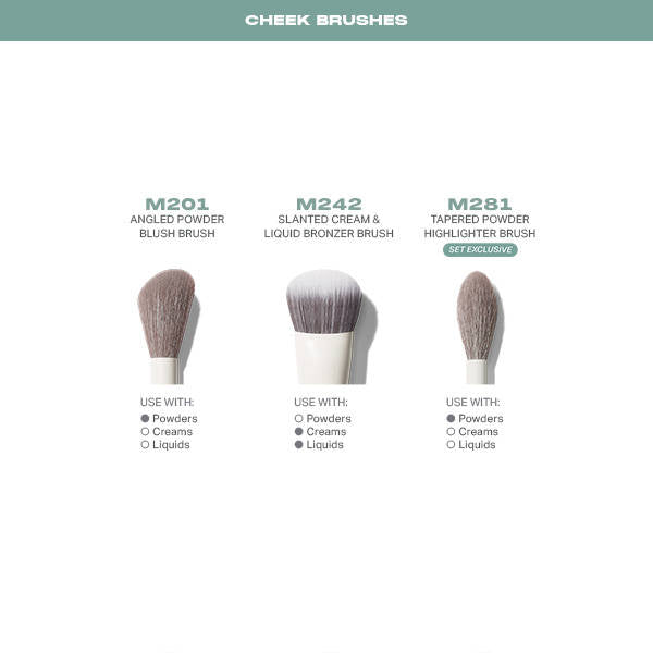 Ready, Set, Pro 16 Piece Face & Eye Brush Set | T32 - view 5