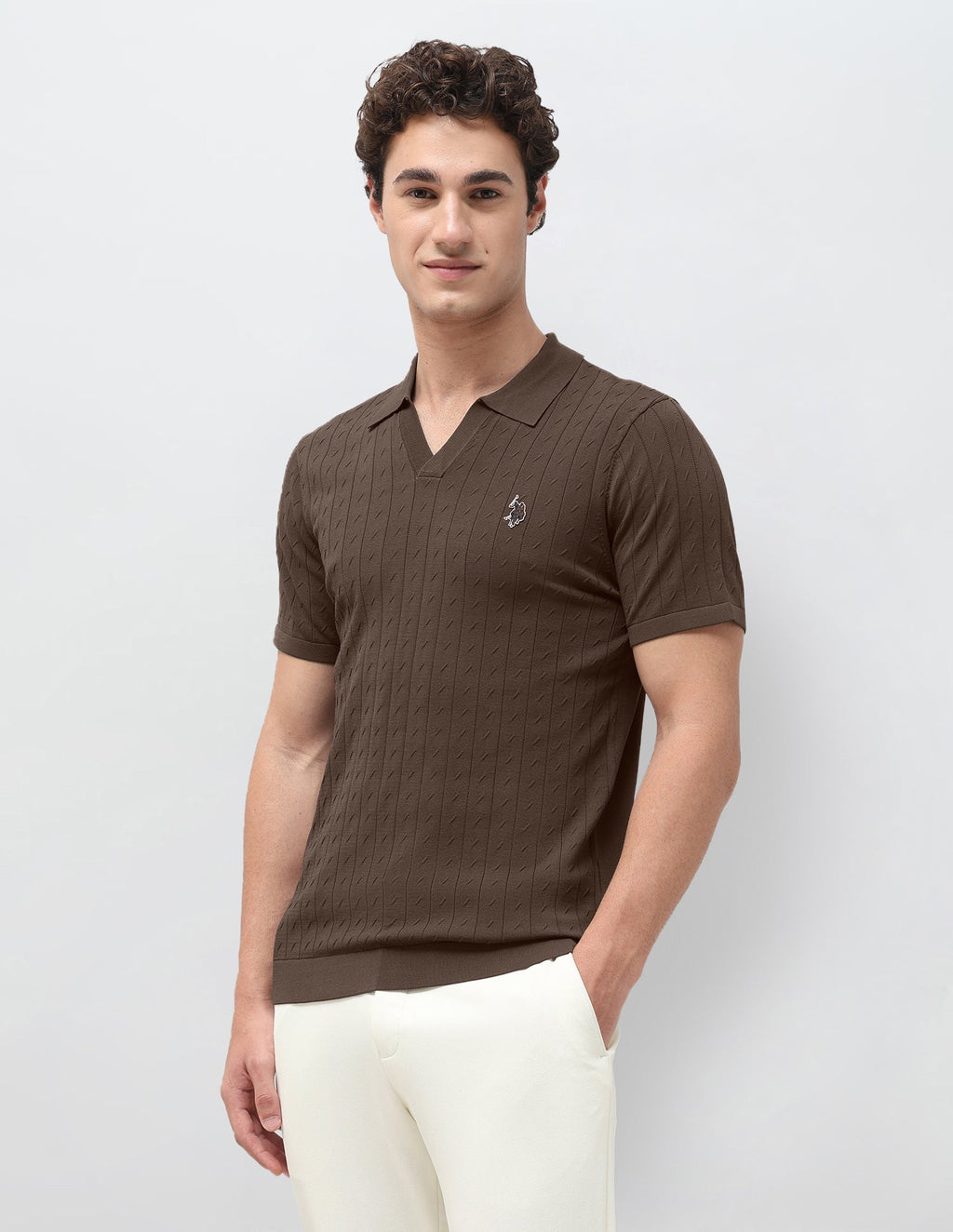 Self Design Vertical Striped Slim Fit Polo Shirt USP0