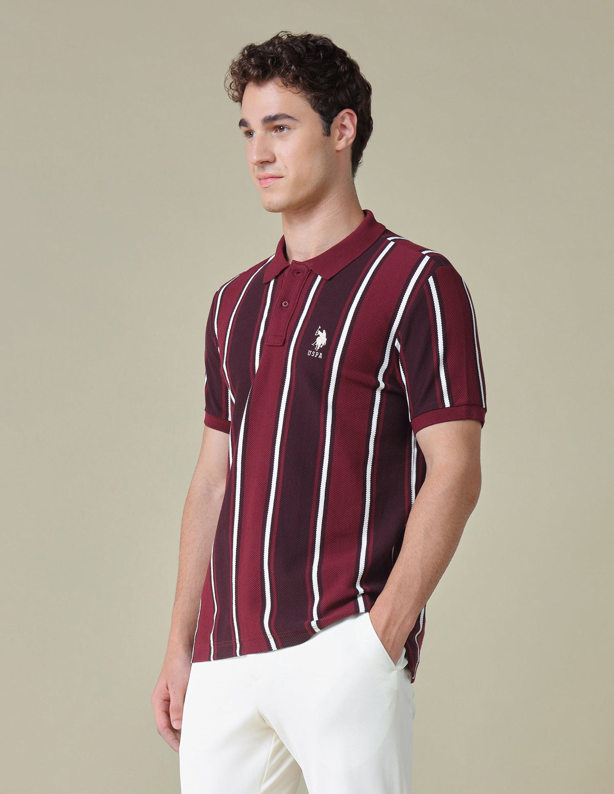 Vertical Striped Regular Fit Polo Shirt USP0