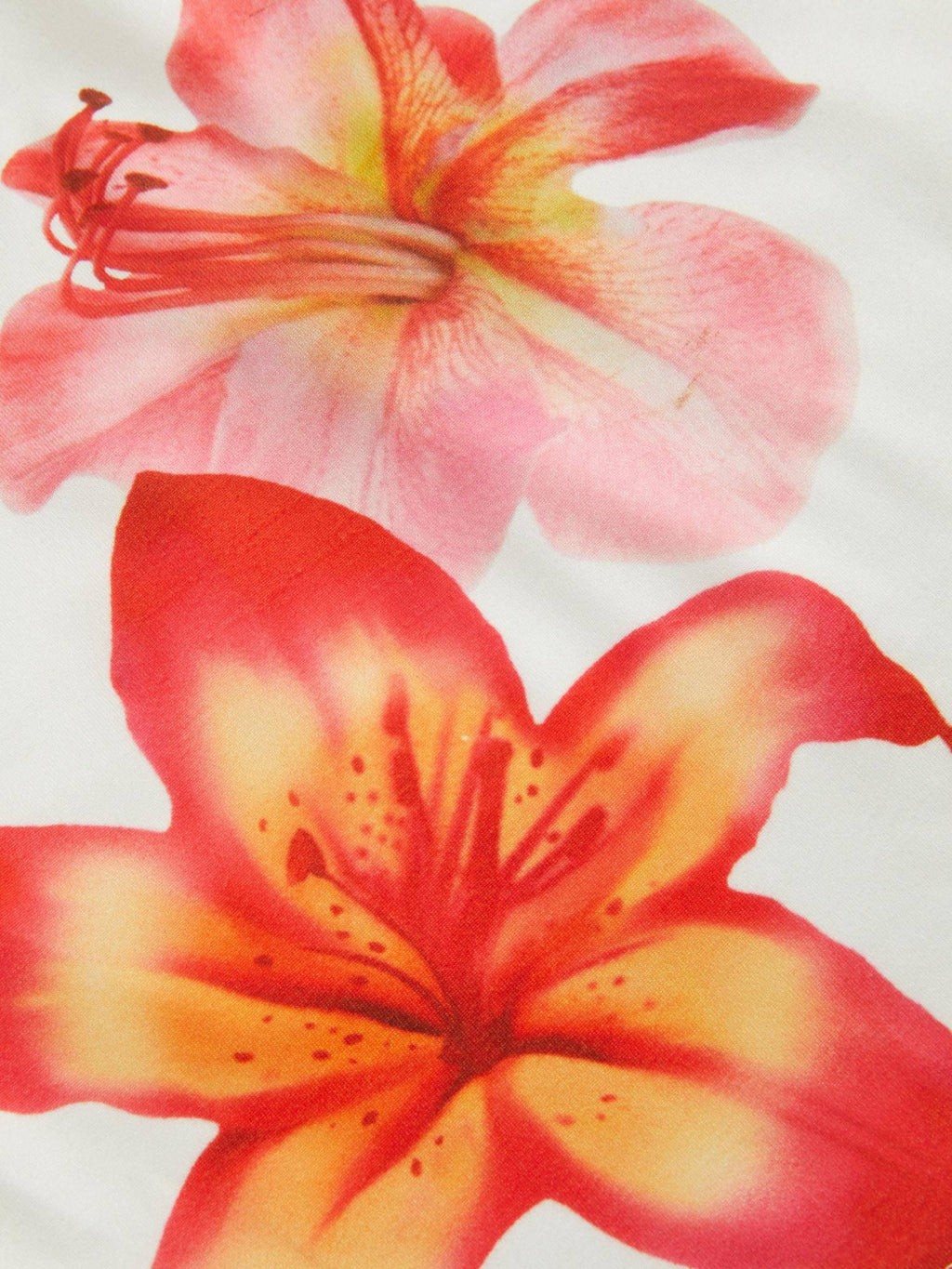 Bandeau Floral Graphic Crop Top | CT61 - view 5