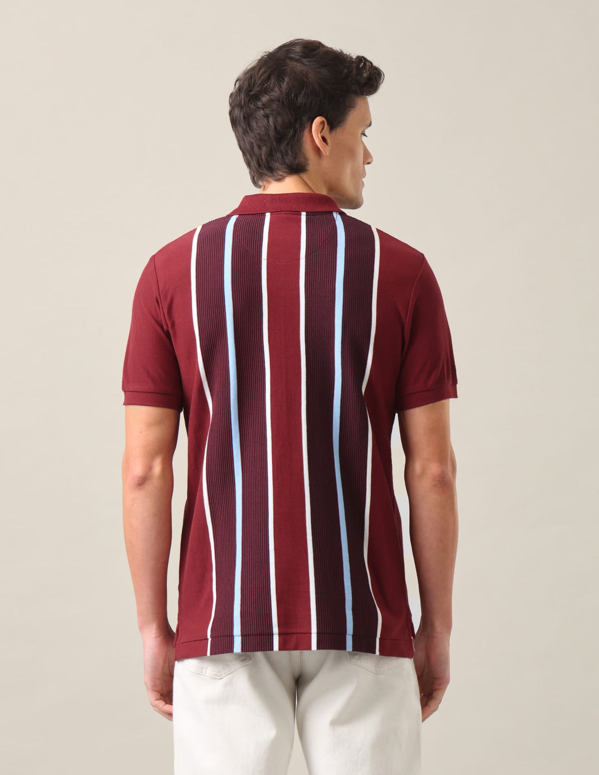 Vertical Striped Slim Fit Polo Shirt USP0