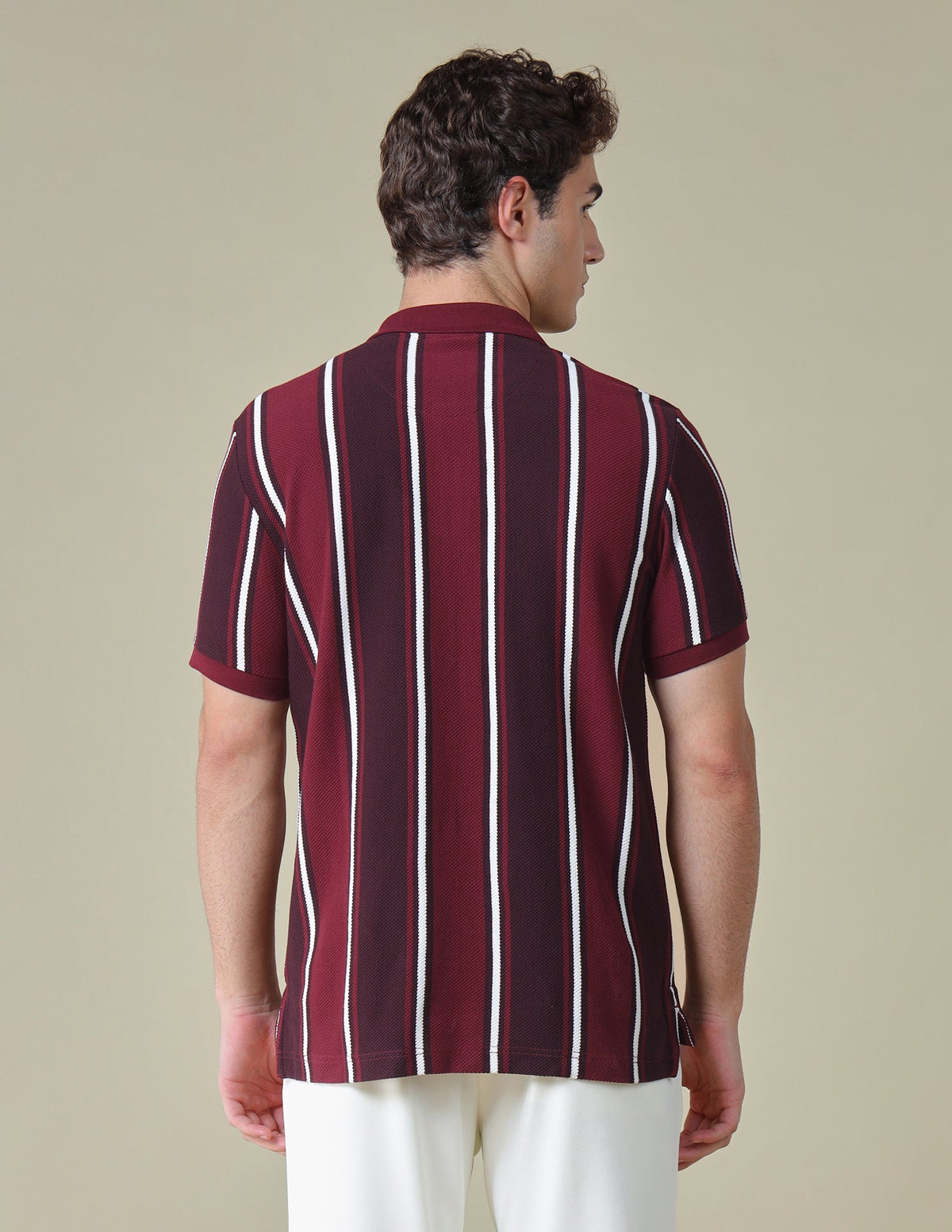Vertical Striped Regular Fit Polo Shirt USP0