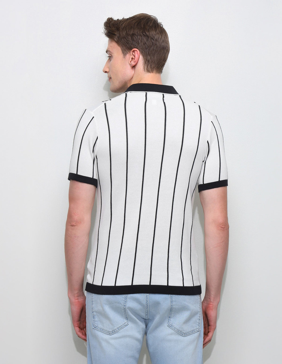 Vertical Striped Slim Fit Polo Shirt USP0