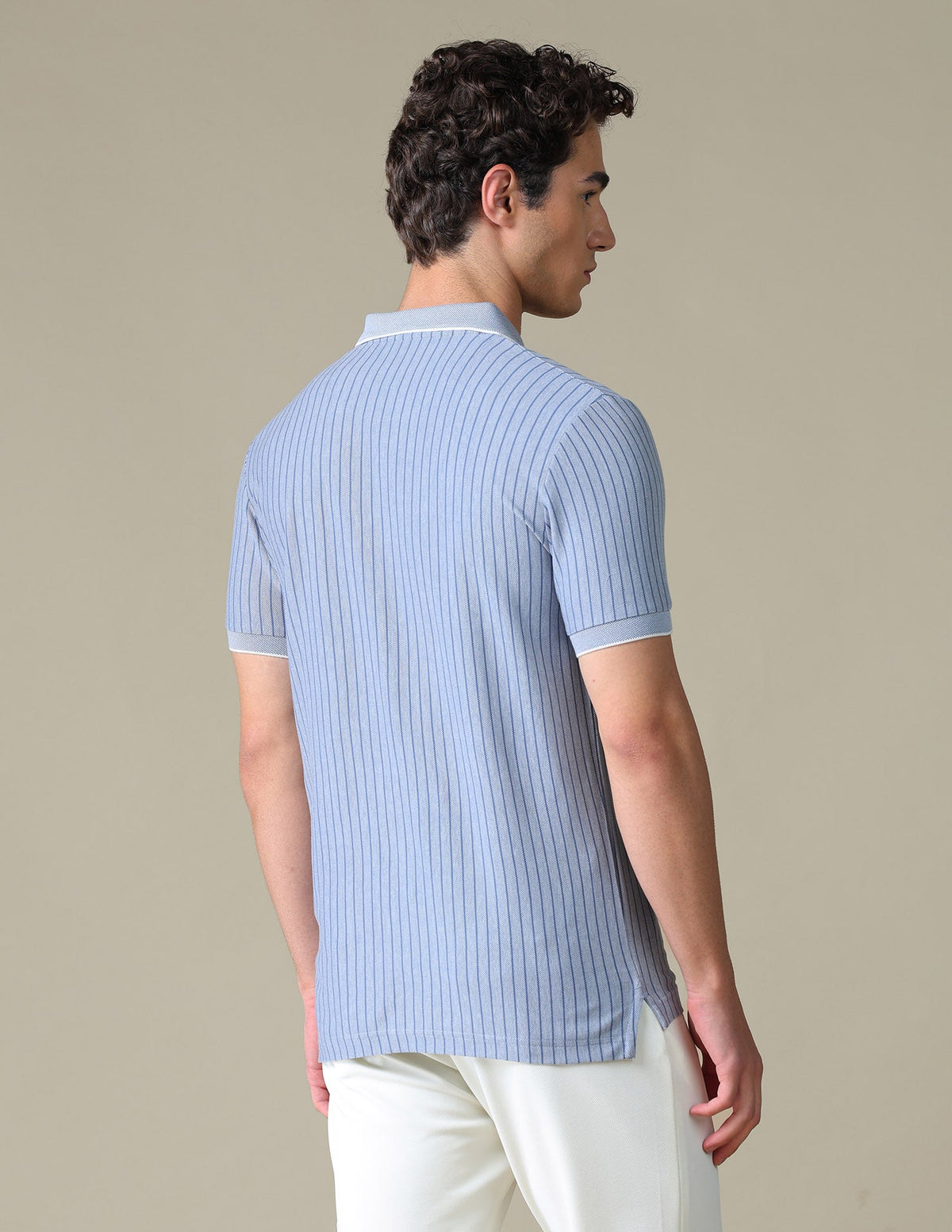Vertical Striped Regular Fit Polo Shirt USP0