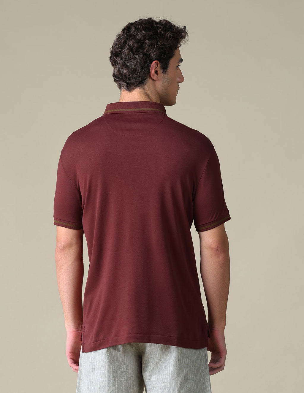 Regular Fit Solid Polo Shirt USP0