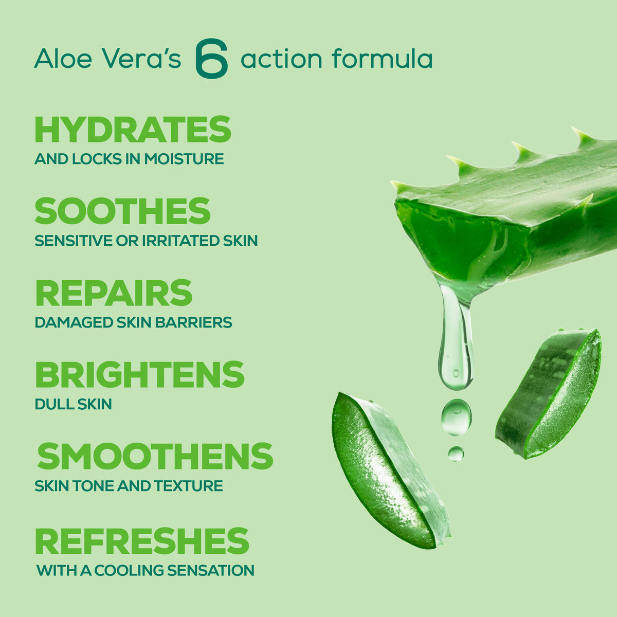 Pure Aloe Vera Body Lotion, Lightweight 48hr Moisturization for Normal & Oily Winter Skin | B20 - view 3
