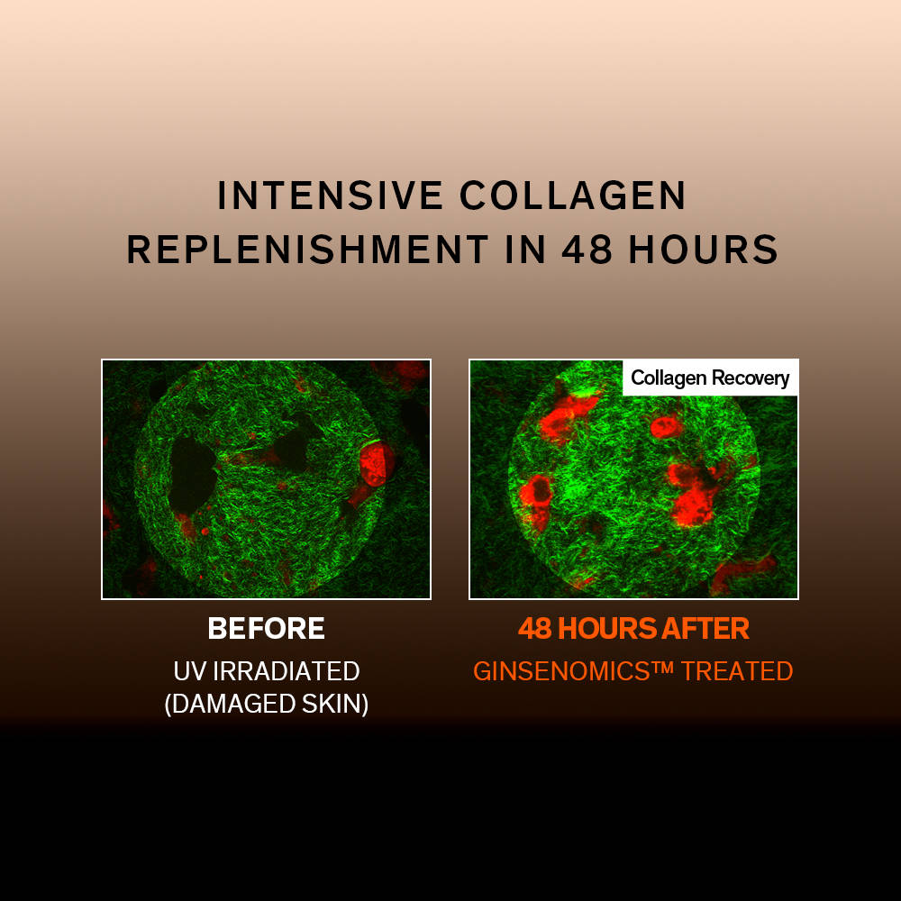 Concentrated Ginseng Renewing Serum Ex | Z8 - view 11