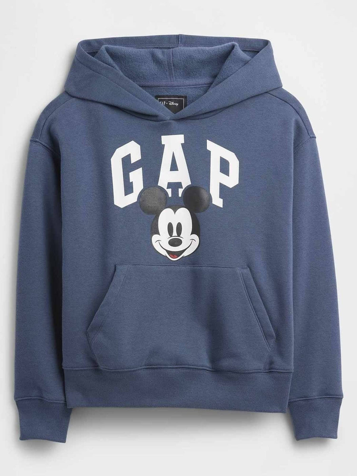 Boys Blue Casual Hooded Neck Character Full Sleeves Hoodie | HD56 - view 1