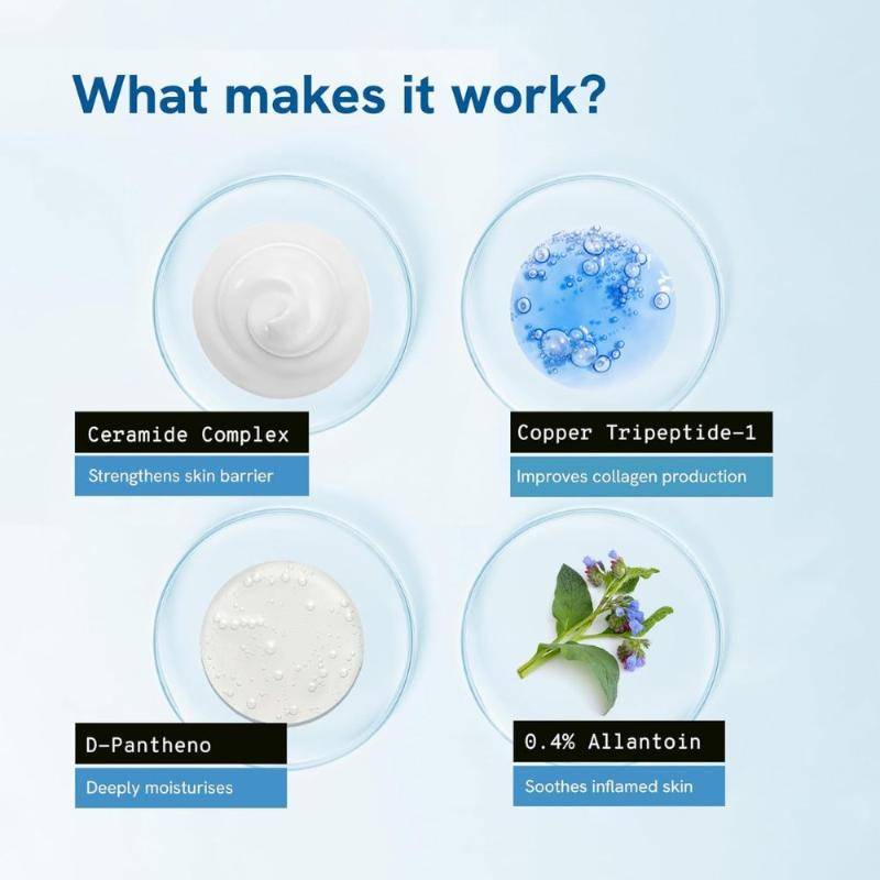1% Peptide & Ceramide Moisturizer- Retains Moisture For 72H, Strengthens Skin Barrier | BWS9 - view 3