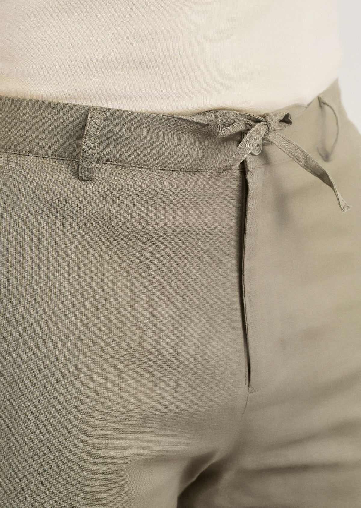 Sage Cotton Linen Regular Fit Pant