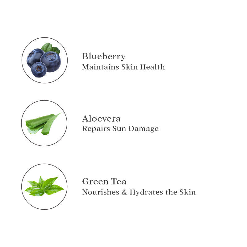 Blueberry D-TAN Face Pack for Tan Removal & Glowing Skin - Detan Mask for Dry Skin | FC3 - view 5