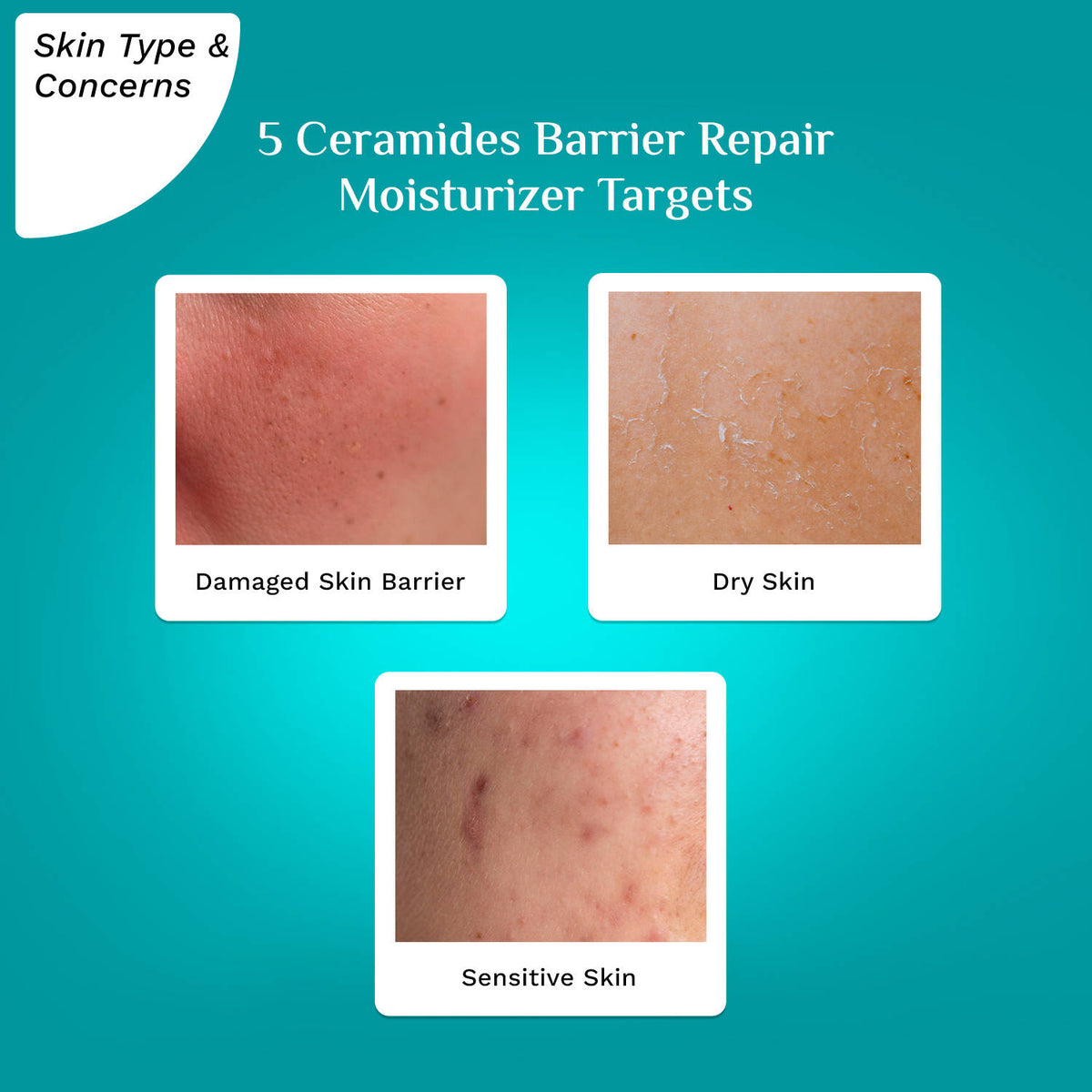 5 Ceramides Barrier Repair Moisturizer with Korean CICA Lightweight & Non-Sticky | FC3 - view 4