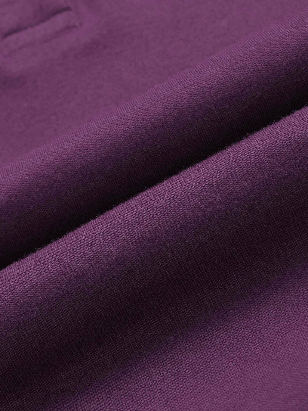 Purple Solid Regular Fit Polo T-Shirt | PW43 - view 2