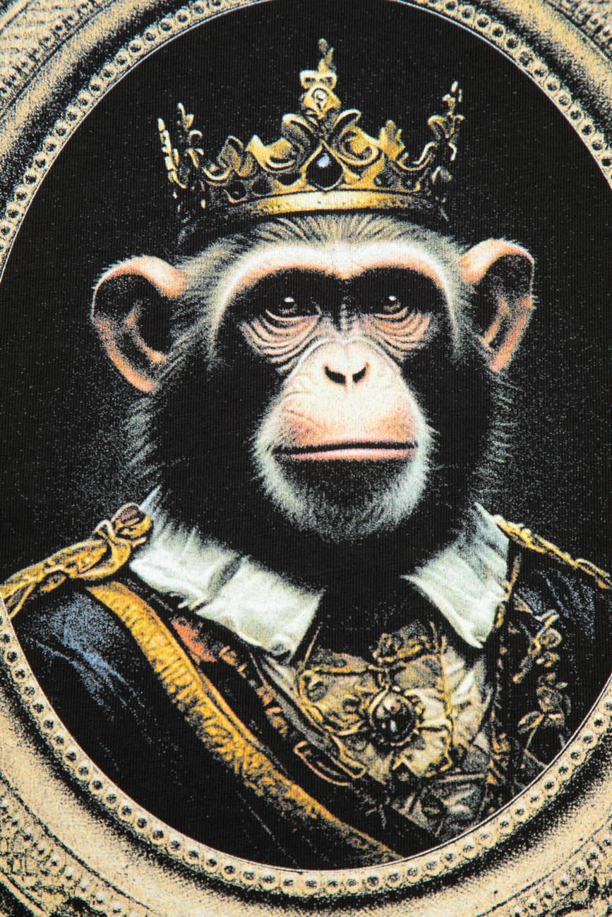 Royal Monkey Urban Monkey