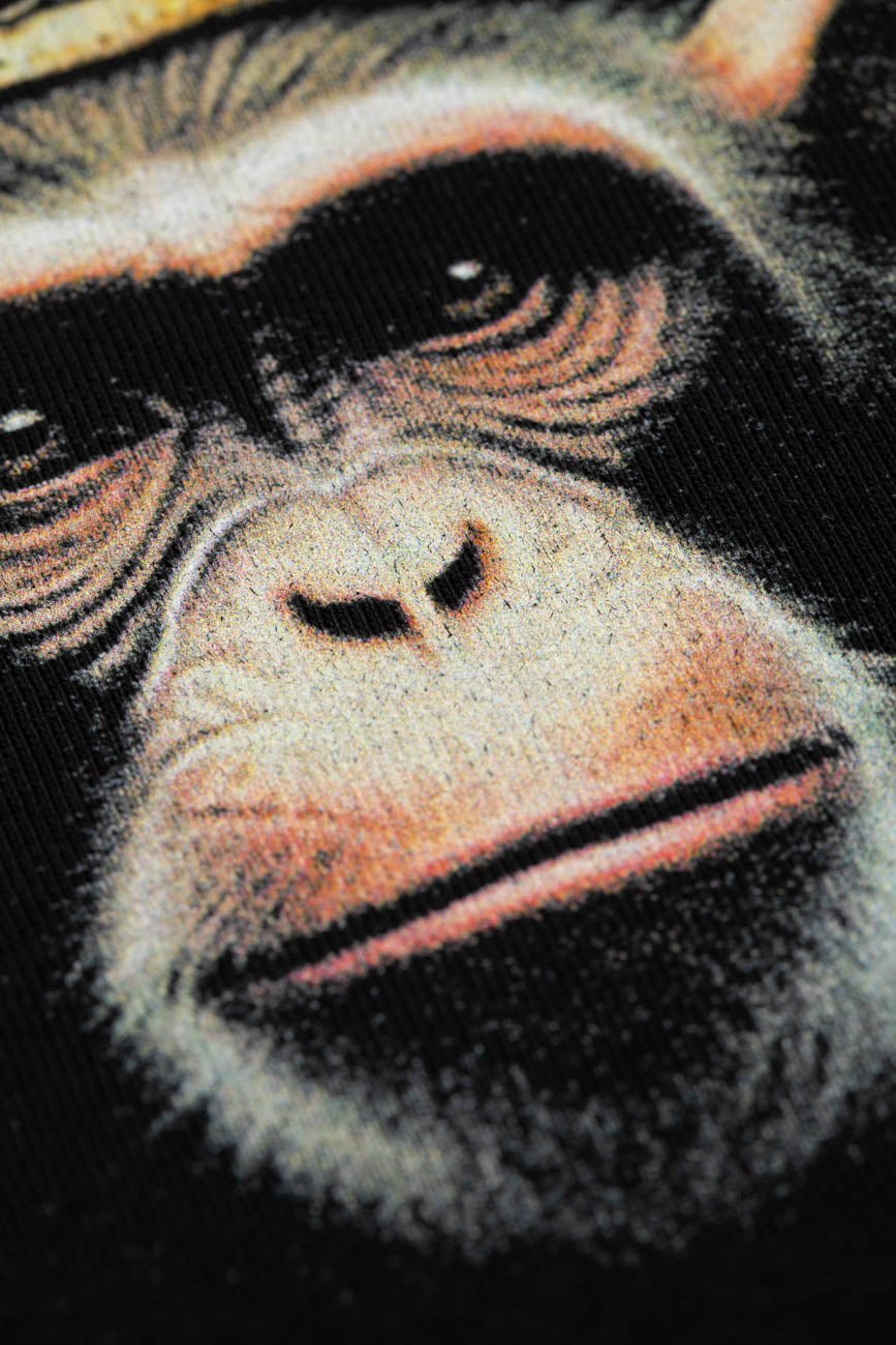 Royal Monkey Urban Monkey